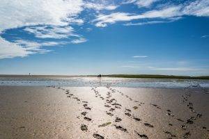 Gezeiten - Fußspuren im Wattenmeer mit Strandspazierern im Hintergrund