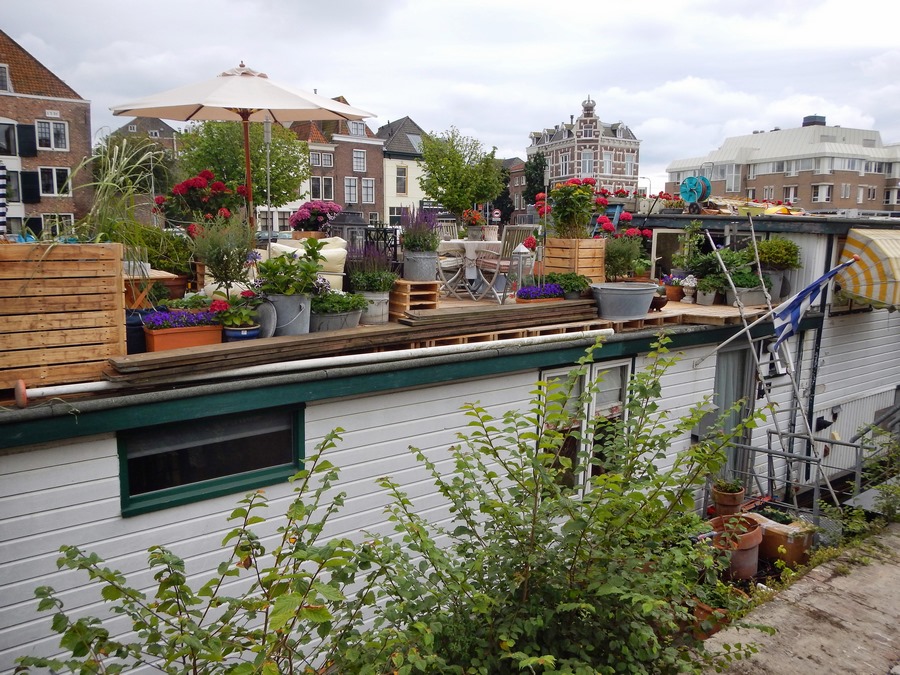 Hausboot in Gracht von Middelburg mit unzähligen Pflanzen