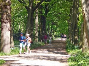 Spaziergänger im Naturschutzgebiet de Mantelinmg Oostkapelle