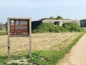 Viele Abschnitte der Bunkerroute Zeeland verlaufen auf einsamen Feldwegen