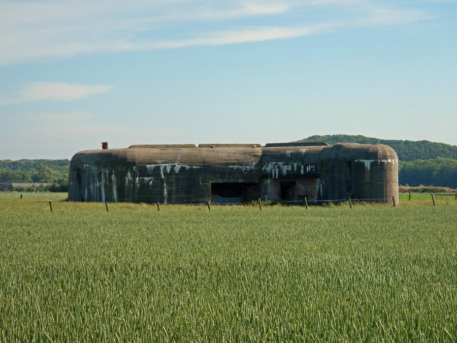 Bunker im Kornfeld - bei der Bunkerroute Zeeland