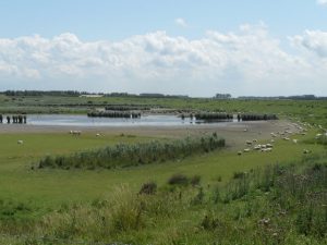 Inlaag an der Oosterschelde