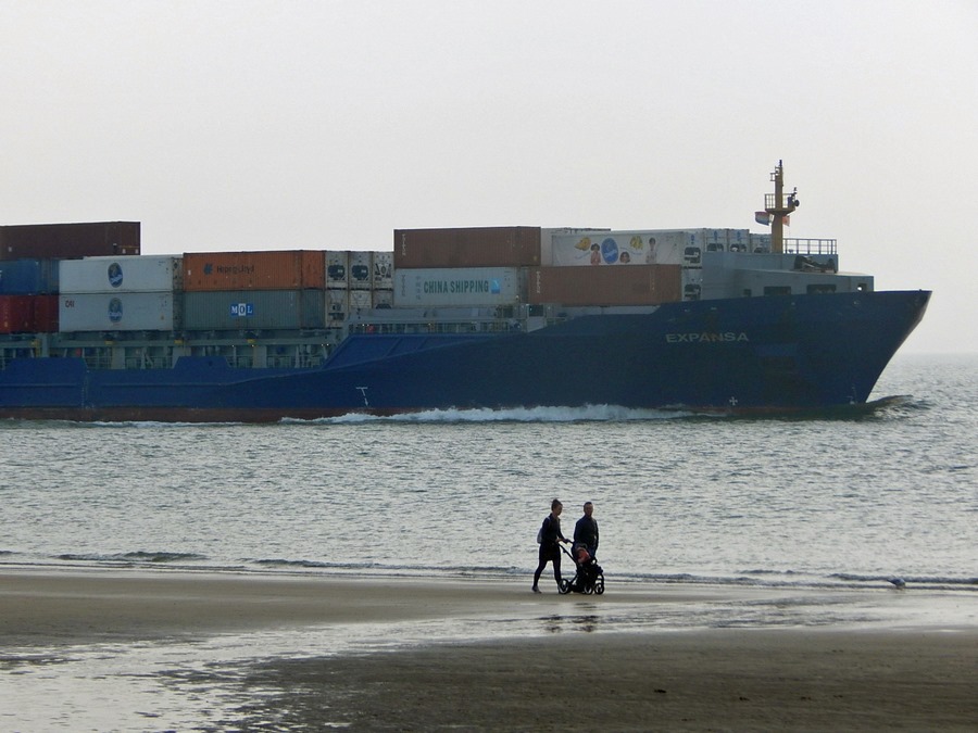 Strand Dishoek mit Containerschiff