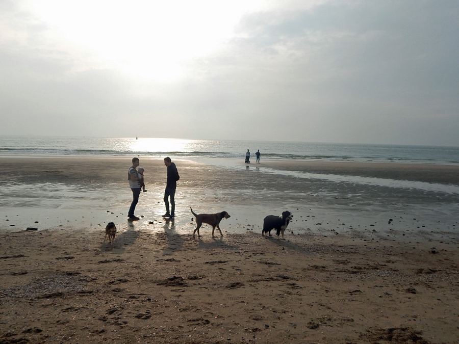 Abendliche Strandstimmung bei Dishoek