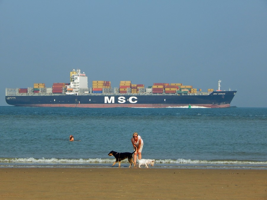 Containerschiff auf Westerschelde